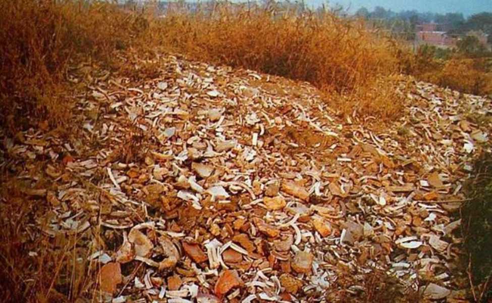 澗磁村的“瓷堆子”,上面布滿了定瓷殘片 澗磁村的“瓷堆子”,上面布滿了定瓷殘片